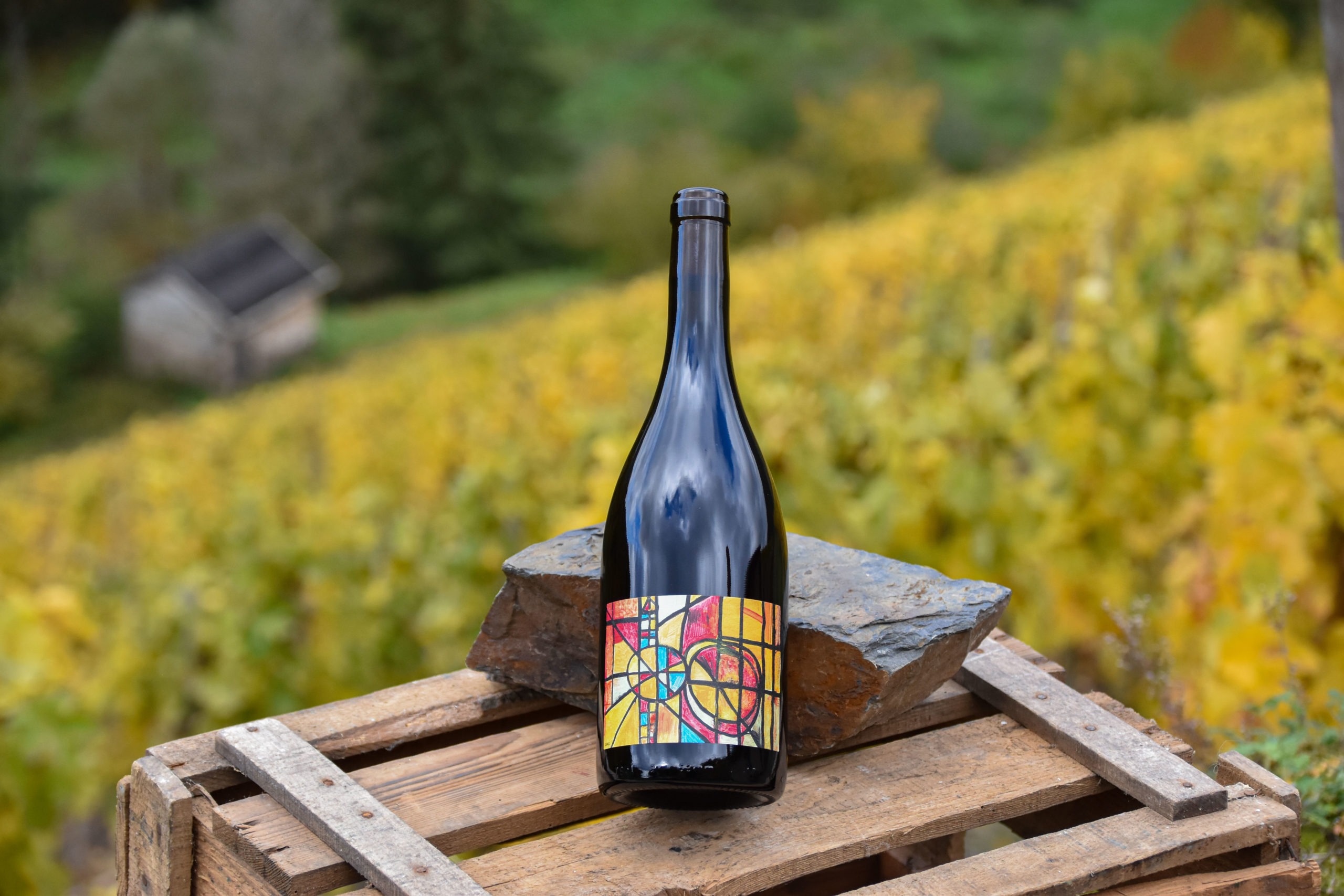 2024 Spätburgunder (Pinot Noir) dry redwine - Image 2