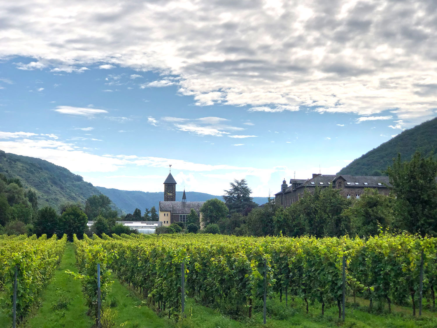 Weinwanderung Weingut Kloster Ebernach
