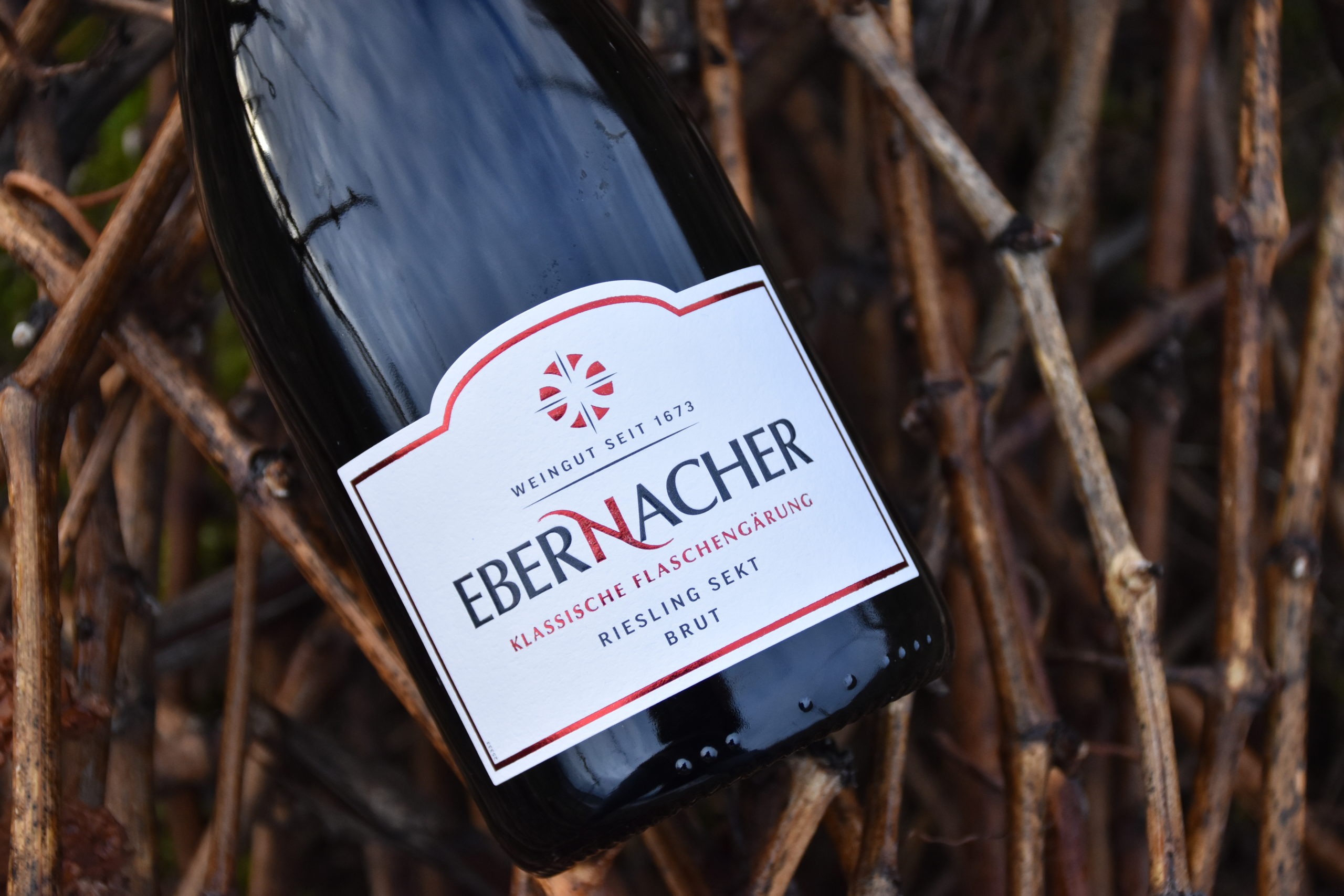 2022 Riesling Sekt Brut – Bild 2