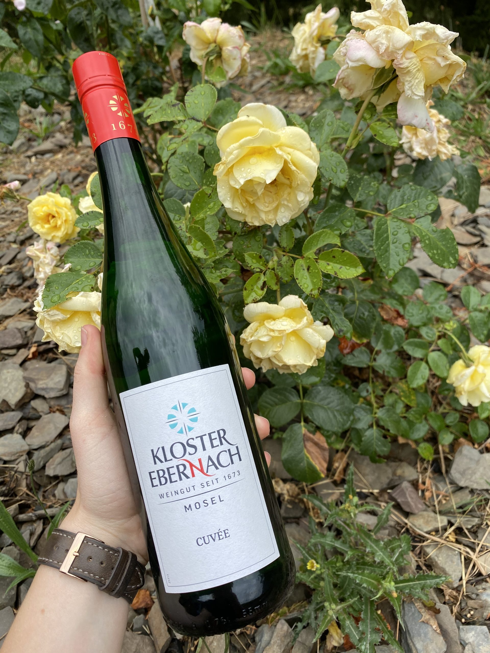 2025 Cuvée lieblich - Qualitätswein Mosel – Bild 2