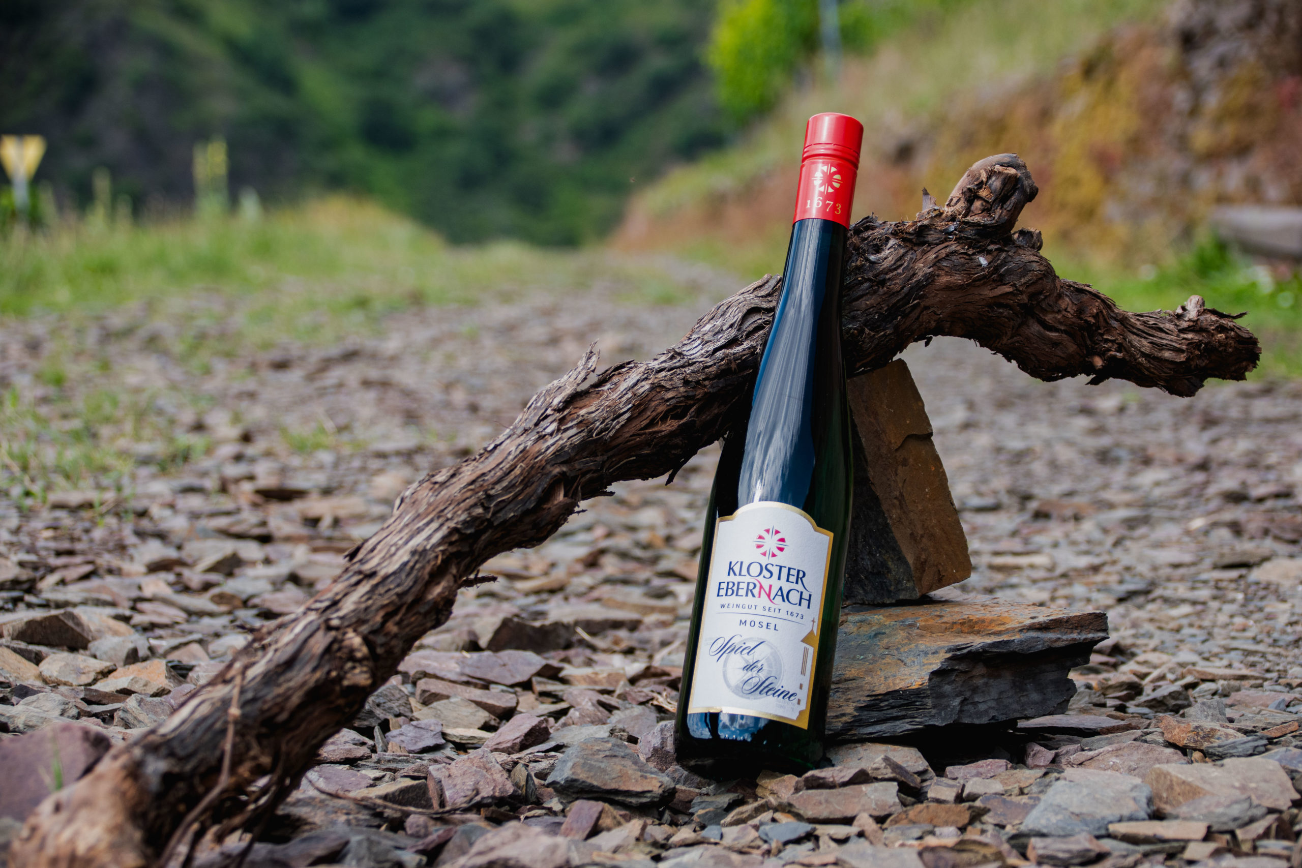 2024 Spiel der Steine Riesling trocken – Bild 2