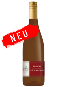 2025 Regent-Spätburgunder- Rotwein Qualitätswein Mosel